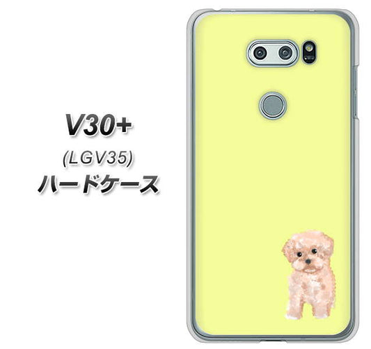 au イサイ V30+ LGV35 高画質仕上げ 背面印刷 ハードケース【YJ064 トイプードルアプリコット(イエロー)】