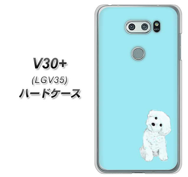 au イサイ V30+ LGV35 高画質仕上げ 背面印刷 ハードケース【YJ070 トイプードルホワイト(ブルー)】