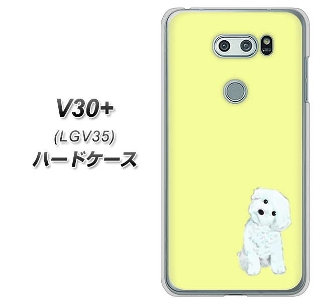 au イサイ V30+ LGV35 高画質仕上げ 背面印刷 ハードケース【YJ072 トイプードルホワイト(イエロー)】