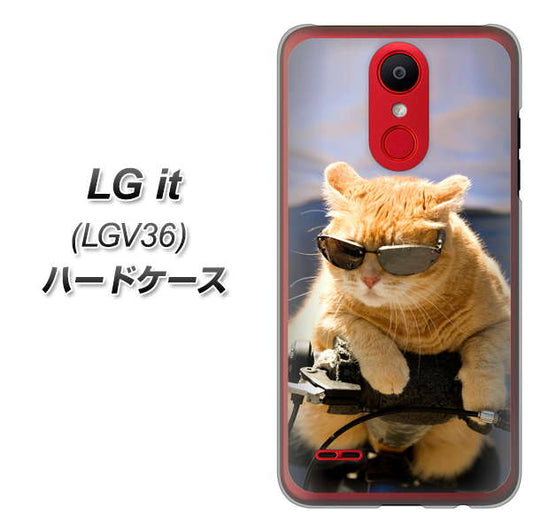 au エルジー イット LGV36 高画質仕上げ 背面印刷 ハードケース【595 にゃんとサイクル】