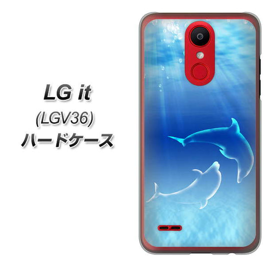 au エルジー イット LGV36 高画質仕上げ 背面印刷 ハードケース【1048 海の守り神イルカ】