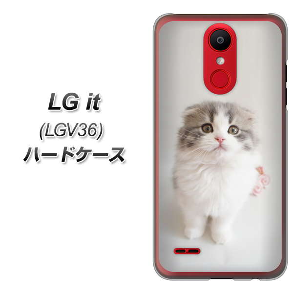 au エルジー イット LGV36 高画質仕上げ 背面印刷 ハードケース【VA803 まっていますネコ】
