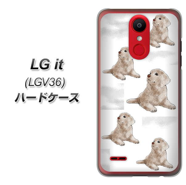 au エルジー イット LGV36 高画質仕上げ 背面印刷 ハードケース【YD823 ラブラドールレトリバー04】