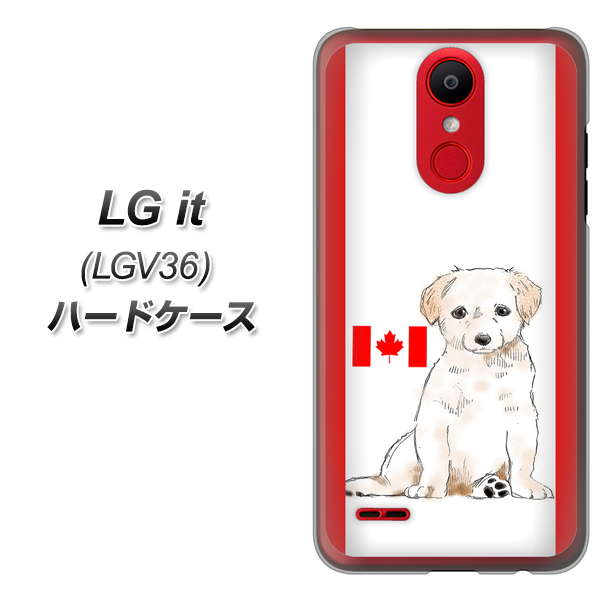 au エルジー イット LGV36 高画質仕上げ 背面印刷 ハードケース【YD824 ラブラドールレトリバー05】