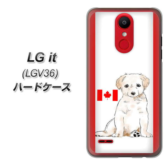 au エルジー イット LGV36 高画質仕上げ 背面印刷 ハードケース【YD824 ラブラドールレトリバー05】