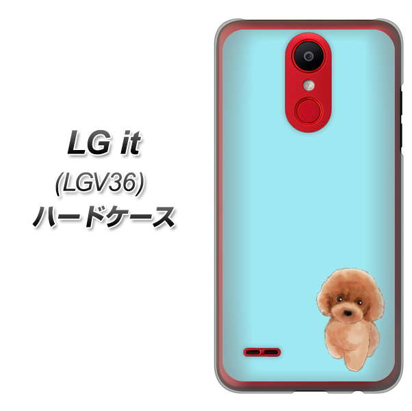 au エルジー イット LGV36 高画質仕上げ 背面印刷 ハードケース【YJ050 トイプードルレッド(ブルー)】