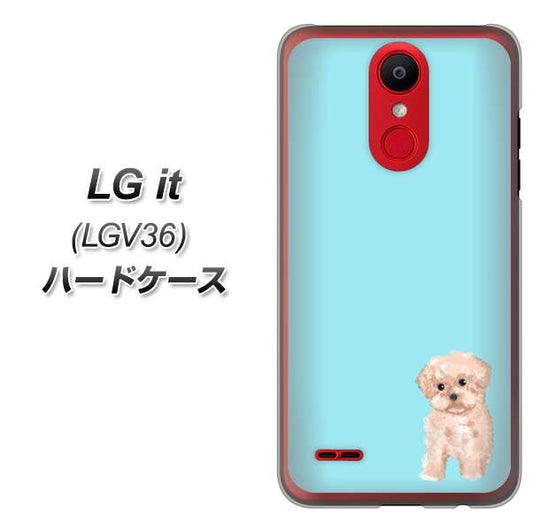 au エルジー イット LGV36 高画質仕上げ 背面印刷 ハードケース【YJ062 トイプードルアプリコット(ブルー)】