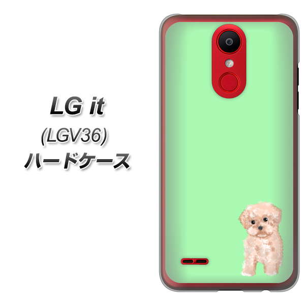 au エルジー イット LGV36 高画質仕上げ 背面印刷 ハードケース【YJ063 トイプードルアプリコット(グリーン)】