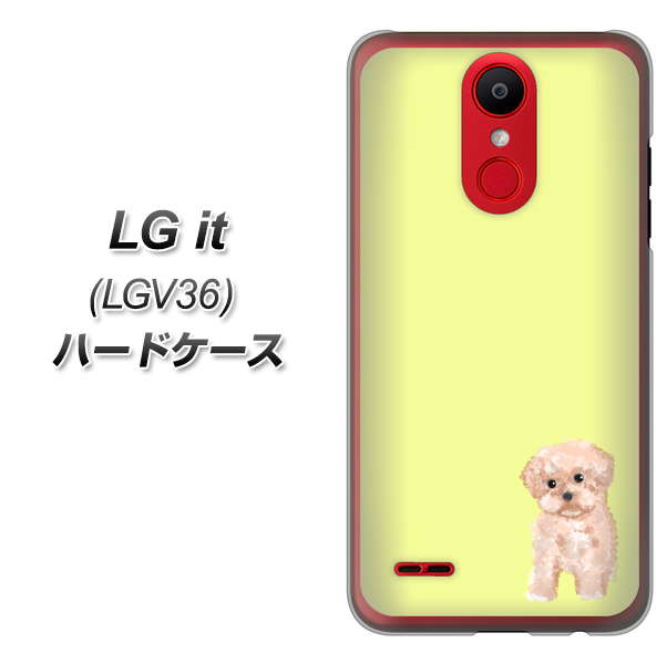 au エルジー イット LGV36 高画質仕上げ 背面印刷 ハードケース【YJ064 トイプードルアプリコット(イエロー)】