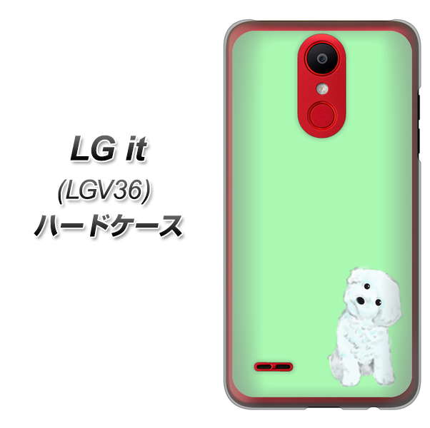 au エルジー イット LGV36 高画質仕上げ 背面印刷 ハードケース【YJ071 トイプードルホワイト(グリーン)】