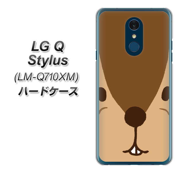 LG Q Stylus LM-Q710XM 高画質仕上げ 背面印刷 ハードケース【349 りす】