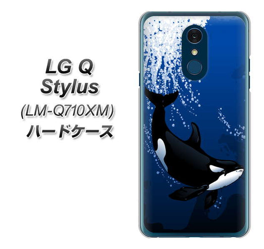 LG Q Stylus LM-Q710XM 高画質仕上げ 背面印刷 ハードケース【423 シャチ】