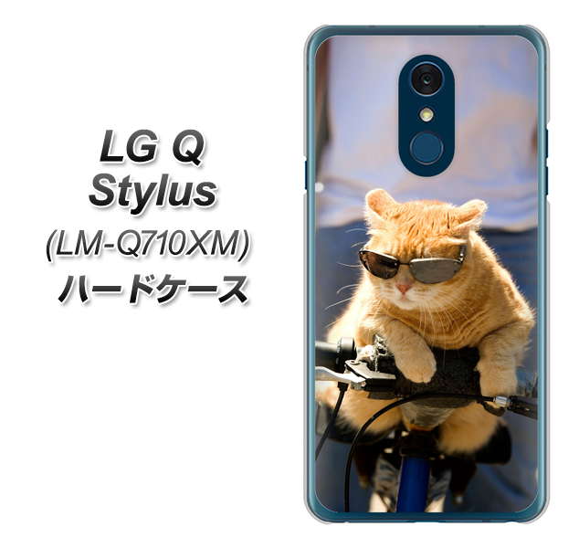 LG Q Stylus LM-Q710XM 高画質仕上げ 背面印刷 ハードケース【595 にゃんとサイクル】