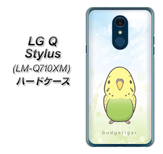 LG Q Stylus LM-Q710XM 高画質仕上げ 背面印刷 ハードケース【SC838 セキセイインコ グリーン】
