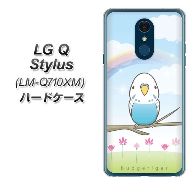 LG Q Stylus LM-Q710XM 高画質仕上げ 背面印刷 ハードケース【SC839 セキセイインコ ブルー】