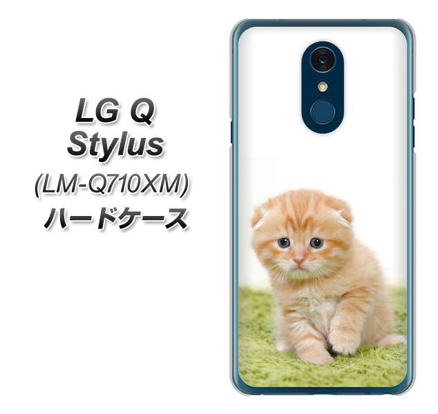 LG Q Stylus LM-Q710XM 高画質仕上げ 背面印刷 ハードケース【VA802 ネコこっそり】