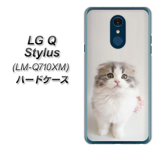 LG Q Stylus LM-Q710XM 高画質仕上げ 背面印刷 ハードケース【VA803 まっていますネコ】