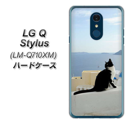 LG Q Stylus LM-Q710XM 高画質仕上げ 背面印刷 ハードケース【VA805 ネコと地中海】