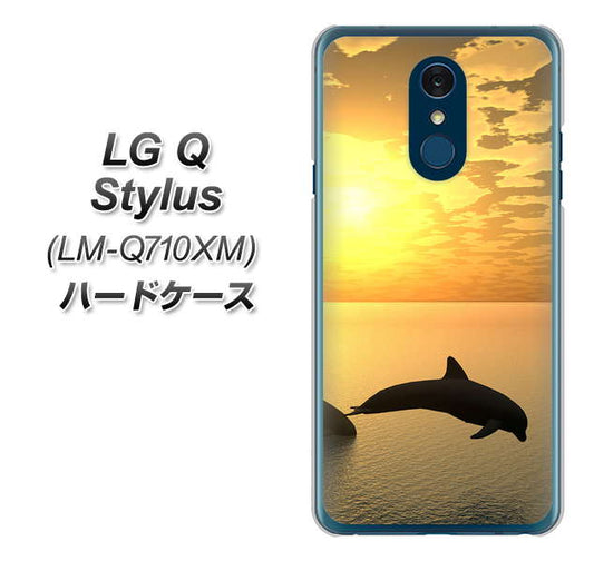 LG Q Stylus LM-Q710XM 高画質仕上げ 背面印刷 ハードケース【VA845 夕暮れのドルフィン】