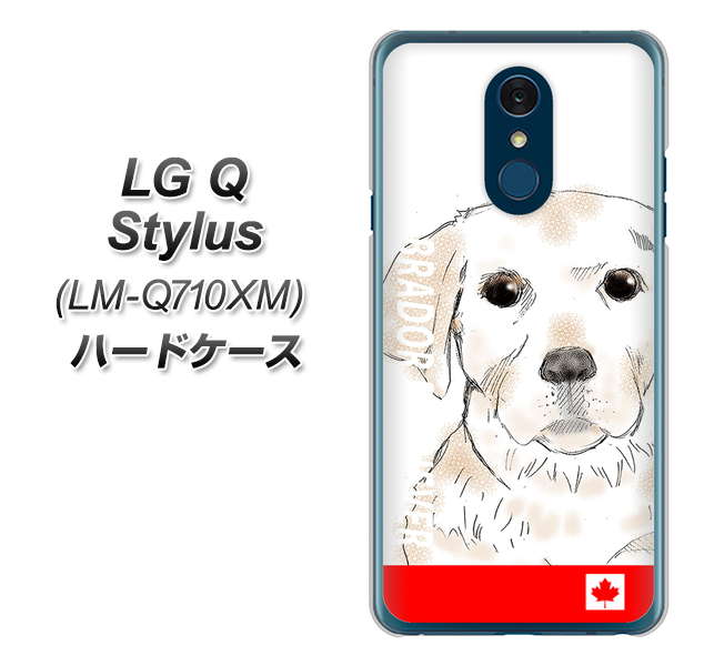 LG Q Stylus LM-Q710XM 高画質仕上げ 背面印刷 ハードケース【YD821 ラブラドールレトリバー02】