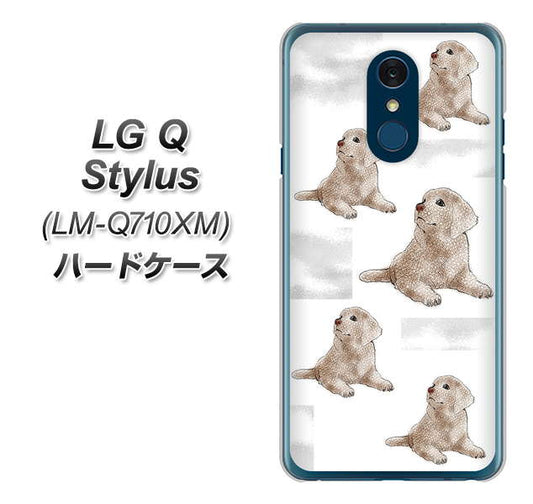 LG Q Stylus LM-Q710XM 高画質仕上げ 背面印刷 ハードケース【YD823 ラブラドールレトリバー04】