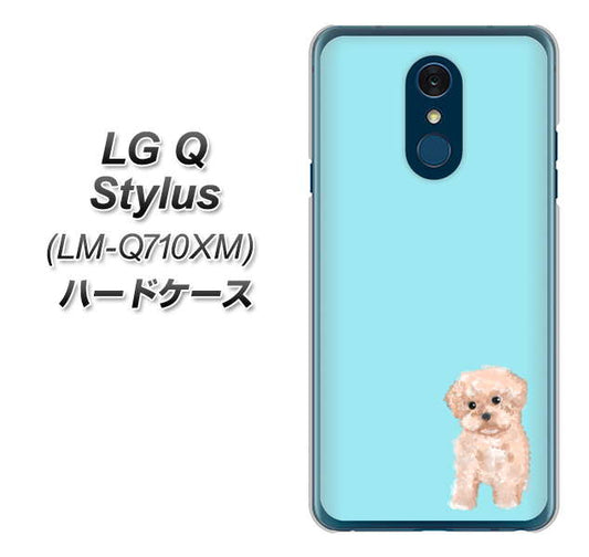 LG Q Stylus LM-Q710XM 高画質仕上げ 背面印刷 ハードケース【YJ062 トイプードルアプリコット（ブルー）】
