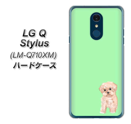 LG Q Stylus LM-Q710XM 高画質仕上げ 背面印刷 ハードケース【YJ063 トイプードルアプリコット（グリーン）】