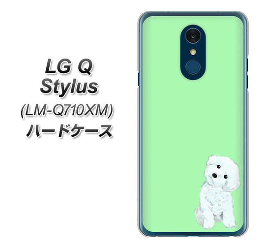 LG Q Stylus LM-Q710XM 高画質仕上げ 背面印刷 ハードケース【YJ071 トイプードルホワイト(グリーン)】