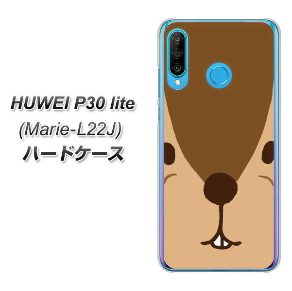 simフリー HUAWEI(ファーウェイ) P30 lite Marie-L22J 高画質仕上げ 背面印刷 ハードケース【349 りす】