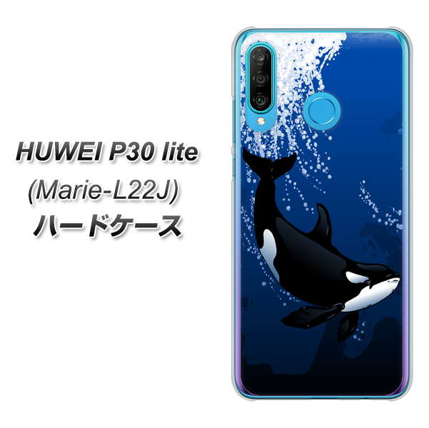 simフリー HUAWEI(ファーウェイ) P30 lite Marie-L22J 高画質仕上げ 背面印刷 ハードケース【423 シャチ】