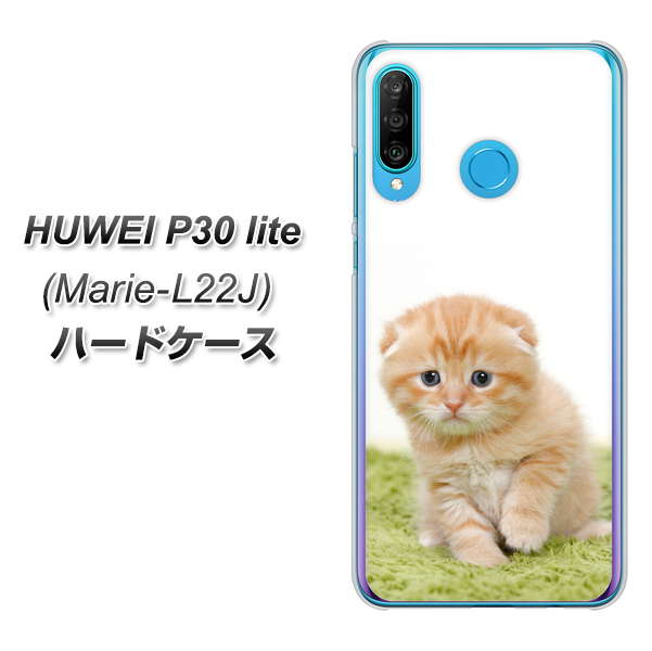 simフリー HUAWEI(ファーウェイ) P30 lite Marie-L22J 高画質仕上げ 背面印刷 ハードケース【VA802 ネコこっそり】