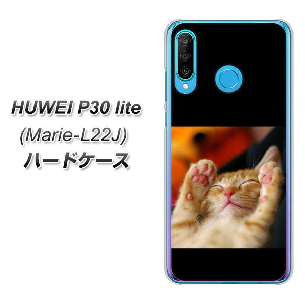 simフリー HUAWEI(ファーウェイ) P30 lite Marie-L22J 高画質仕上げ 背面印刷 ハードケース【VA804 爆睡するネコ】