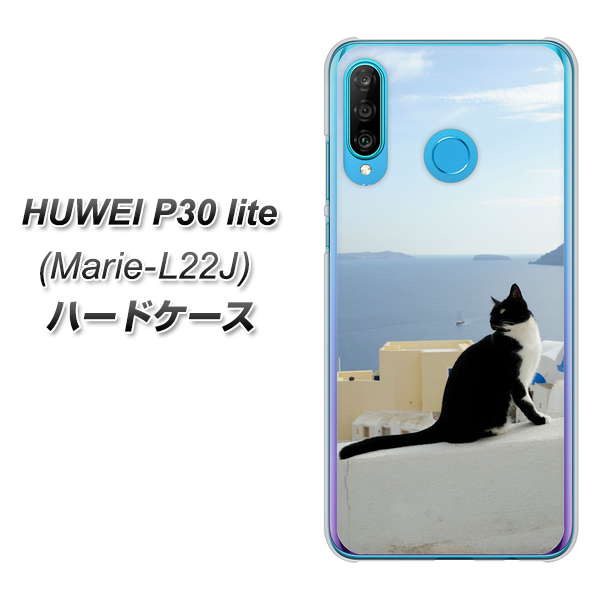 simフリー HUAWEI(ファーウェイ) P30 lite Marie-L22J 高画質仕上げ 背面印刷 ハードケース【VA805 ネコと地中海】