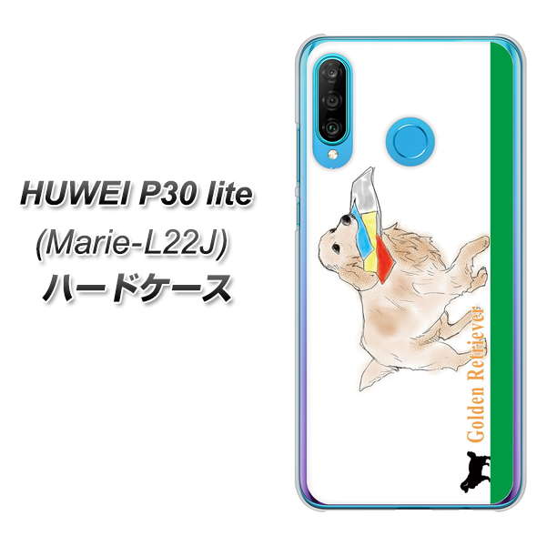 simフリー HUAWEI(ファーウェイ) P30 lite Marie-L22J 高画質仕上げ 背面印刷 ハードケース【YD829 ゴールデンレトリバー05】