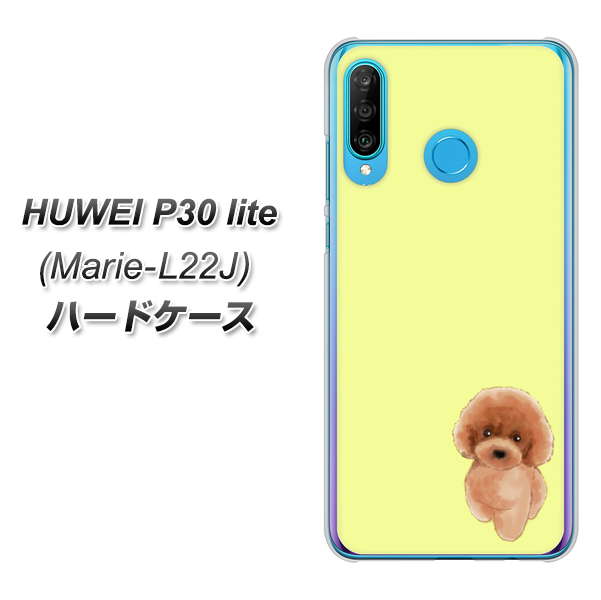 simフリー HUAWEI(ファーウェイ) P30 lite Marie-L22J 高画質仕上げ 背面印刷 ハードケース【YJ051 トイプードルレッド(イエロー)】