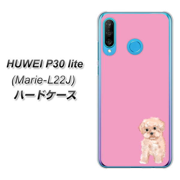 simフリー HUAWEI(ファーウェイ) P30 lite Marie-L22J 高画質仕上げ 背面印刷 ハードケース【YJ061 トイプードルアプリコット(ピンク)】