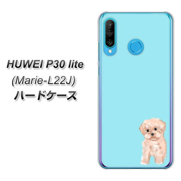 simフリー HUAWEI(ファーウェイ) P30 lite Marie-L22J 高画質仕上げ 背面印刷 ハードケース【YJ062 トイプードルアプリコット(ブルー)】