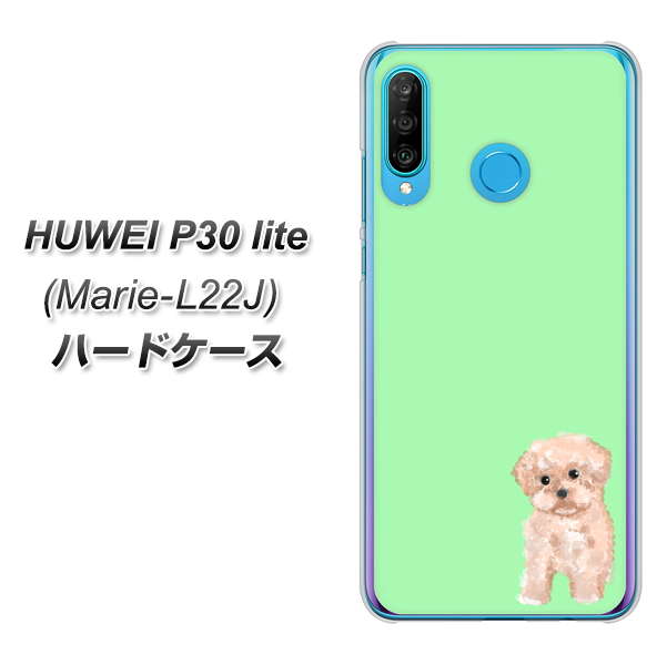simフリー HUAWEI(ファーウェイ) P30 lite Marie-L22J 高画質仕上げ 背面印刷 ハードケース【YJ063 トイプードルアプリコット(グリーン)】