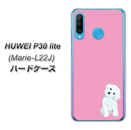 simフリー HUAWEI(ファーウェイ) P30 lite Marie-L22J 高画質仕上げ 背面印刷 ハードケース【YJ069 トイプードルホワイト(ピンク)】