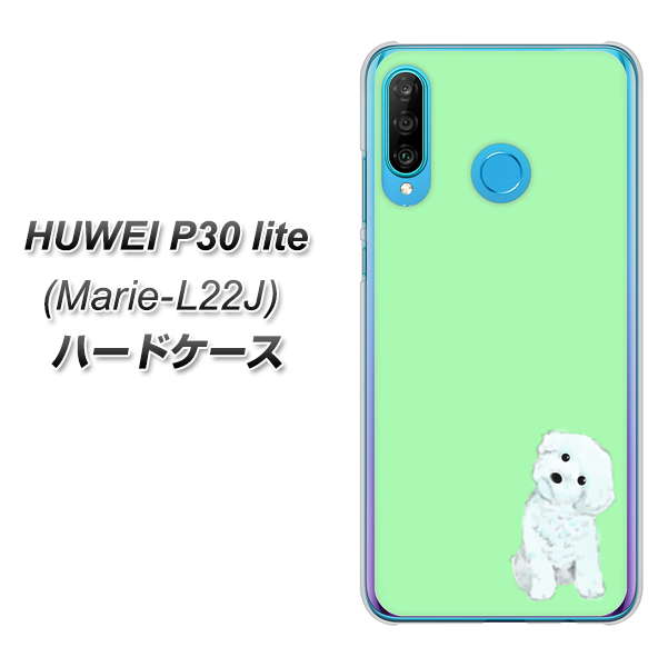 simフリー HUAWEI(ファーウェイ) P30 lite Marie-L22J 高画質仕上げ 背面印刷 ハードケース【YJ071 トイプードルホワイト(グリーン)】