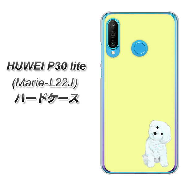 simフリー HUAWEI(ファーウェイ) P30 lite Marie-L22J 高画質仕上げ 背面印刷 ハードケース【YJ072 トイプードルホワイト(イエロー)】