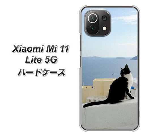 Xiaomi（シャオミ）Mi 11 Lite 5G 高画質仕上げ 背面印刷 ハードケース【VA805 ネコと地中海】