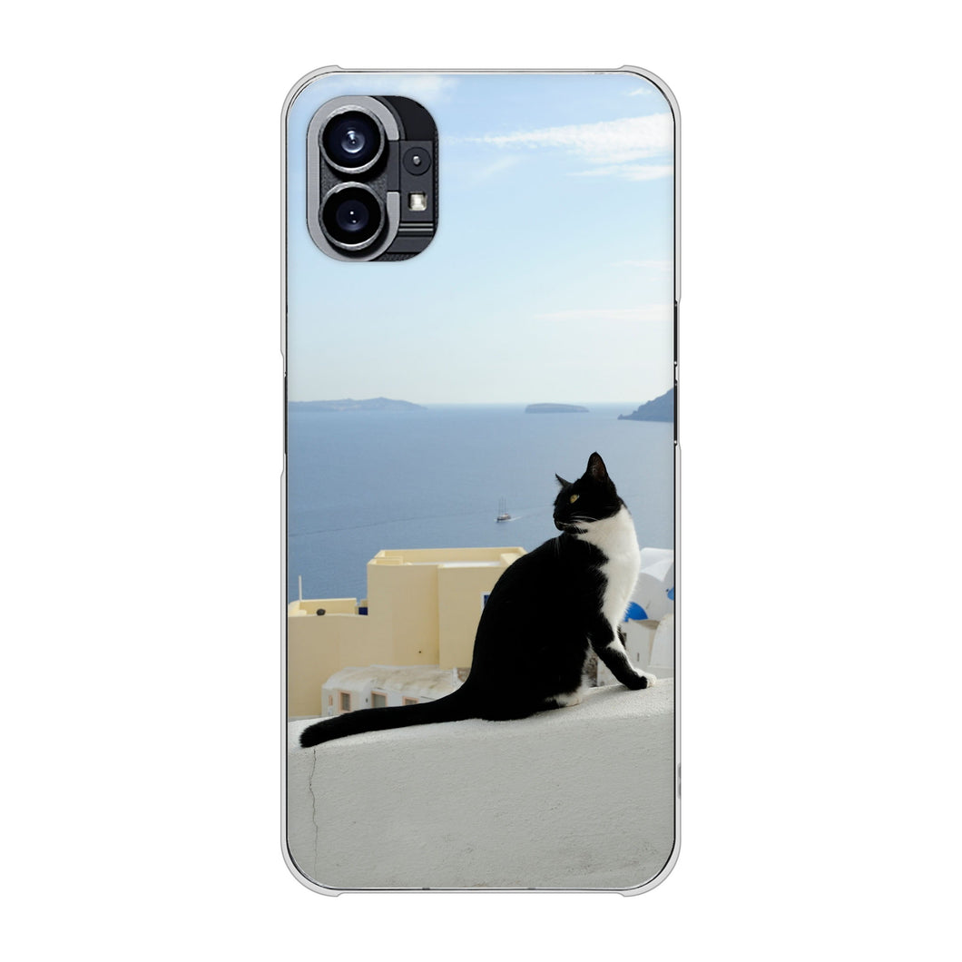 Nothing Phone(1) 高画質仕上げ 背面印刷 ハードケース【VA805 ネコと地中海】