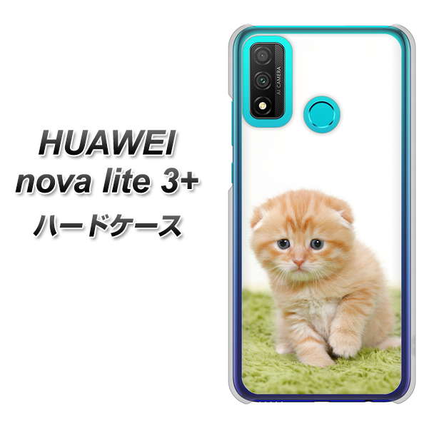 HUAWEI(ファーウェイ) nova lite 3プラス POT-LX2J 高画質仕上げ 背面印刷 ハードケース【VA802 ネコこっそり】