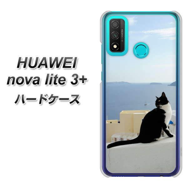 HUAWEI(ファーウェイ) nova lite 3プラス POT-LX2J 高画質仕上げ 背面印刷 ハードケース【VA805 ネコと地中海】