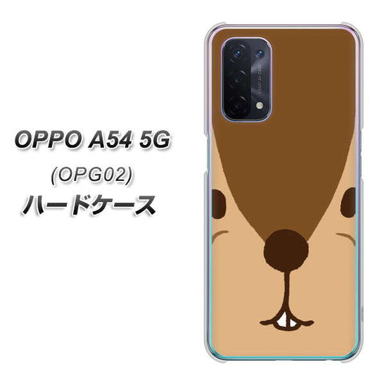 au オッポ A54 5G OPG02 高画質仕上げ 背面印刷 ハードケース【349 りす】