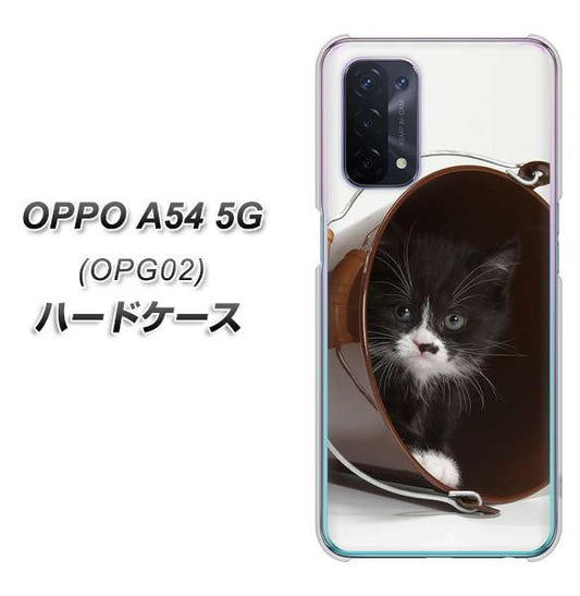 au オッポ A54 5G OPG02 高画質仕上げ 背面印刷 ハードケース【VA800 ネコとバケツ】