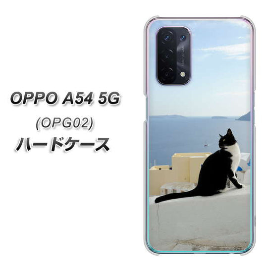 au オッポ A54 5G OPG02 高画質仕上げ 背面印刷 ハードケース【VA805 ネコと地中海】
