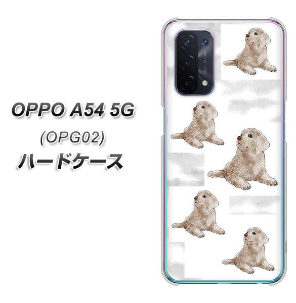 au オッポ A54 5G OPG02 高画質仕上げ 背面印刷 ハードケース【YD823 ラブラドールレトリバー04】