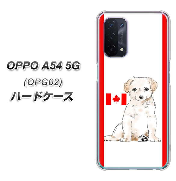 au オッポ A54 5G OPG02 高画質仕上げ 背面印刷 ハードケース【YD824 ラブラドールレトリバー05】